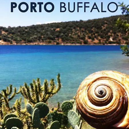 Апартаменты Sea Front - Porto Buffalo - Evia *
