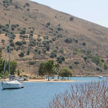 Sea Front - Porto Buffalo - Evia