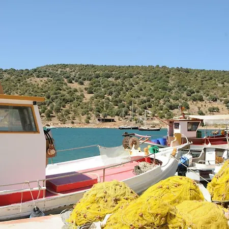 Appartement Sea Front - Porto Buffalo - Evia