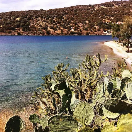 Apartment Sea Front - Porto - Evia *